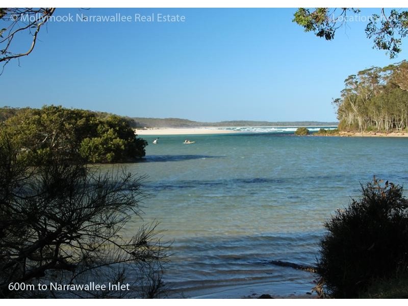 46 Bangalow St, Narrawallee NSW 2539