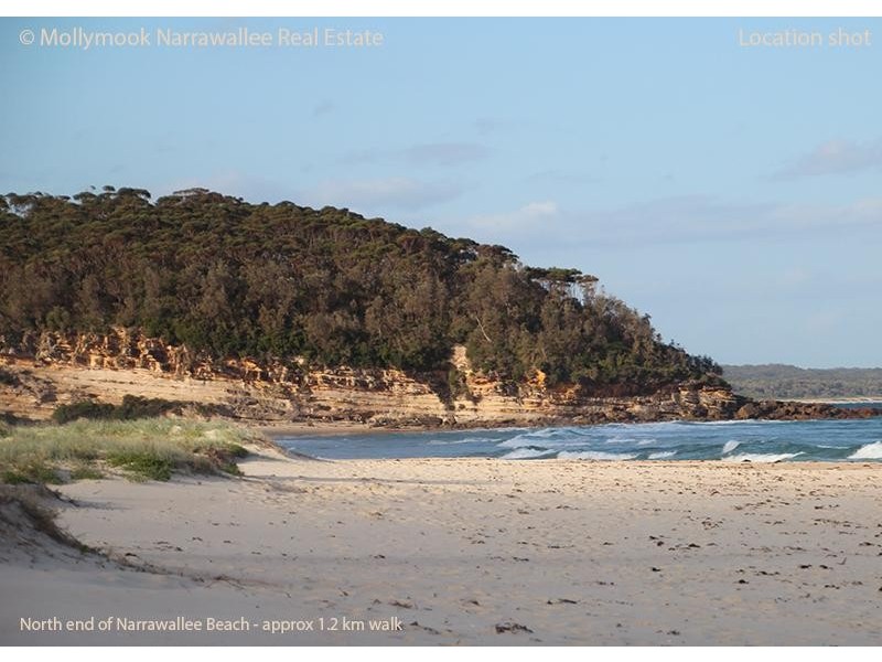 98 Leo Dr, Narrawallee NSW 2539