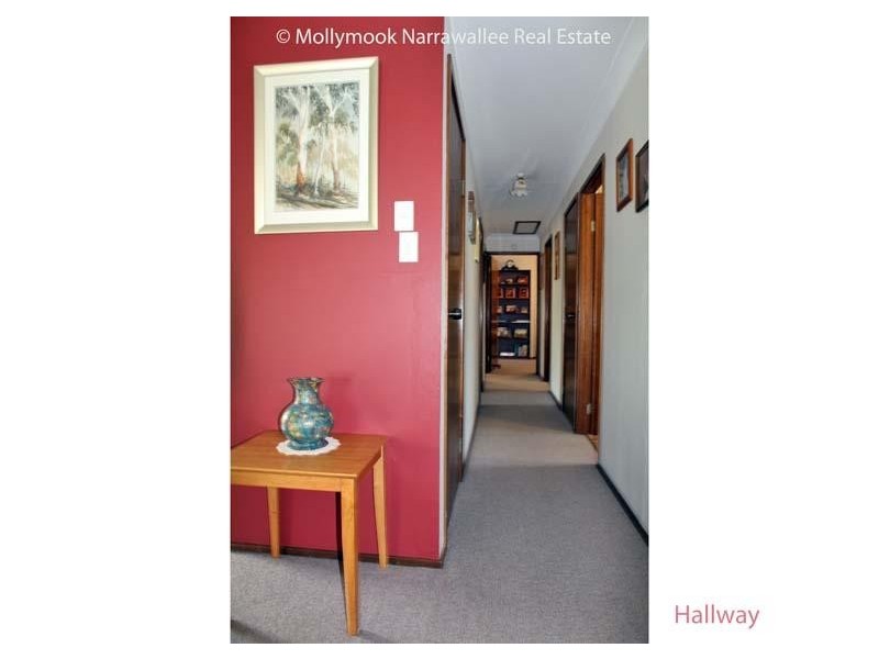 115 Leo Dr, Narrawallee NSW 2539