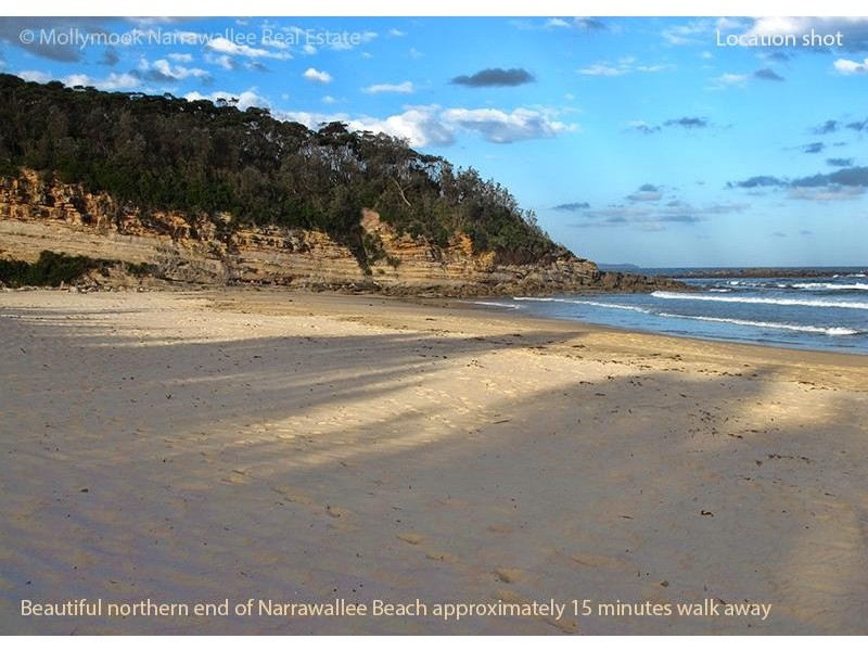 115 Leo Dr, Narrawallee NSW 2539