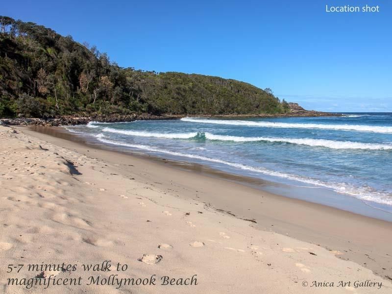 5 Park View Pde, Mollymook Beach NSW 2539