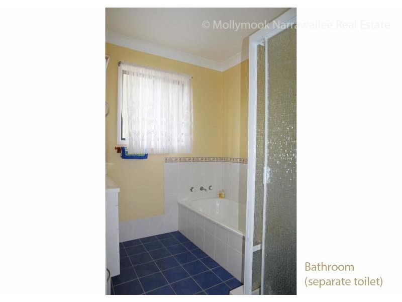 117 Leo Dr, Narrawallee NSW 2539