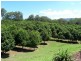 Valla NSW 2448