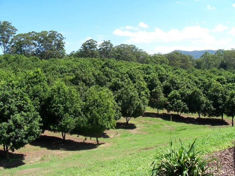 Valla NSW 2448