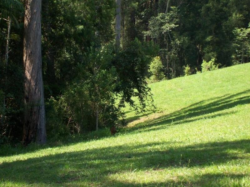 Valla NSW 2448