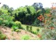 36 Gordon Rd, Raleigh NSW 2454