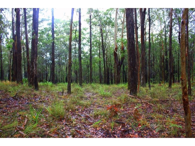 8180 Pacific  Hwy, Urunga NSW 2455