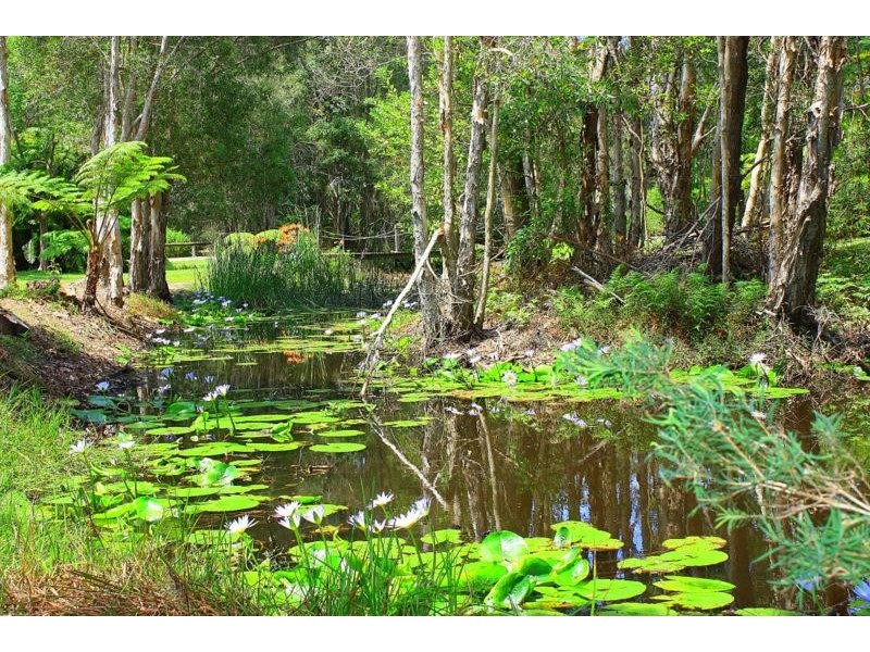 18 The Grove -, Urunga NSW 2455