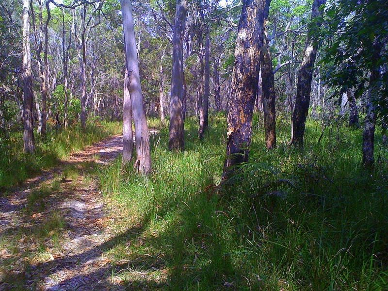 250 Hungry Head Rd, Urunga NSW 2455