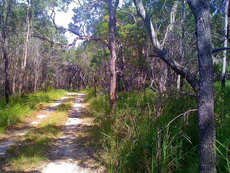 250 Hungry Head Rd, Urunga NSW 2455