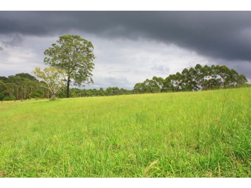 108 Old Pacific  Hwy, Raleigh NSW 2454