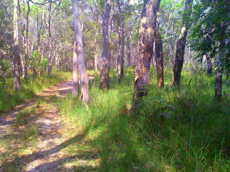 250 Hungry Head Rd, Urunga NSW 2455