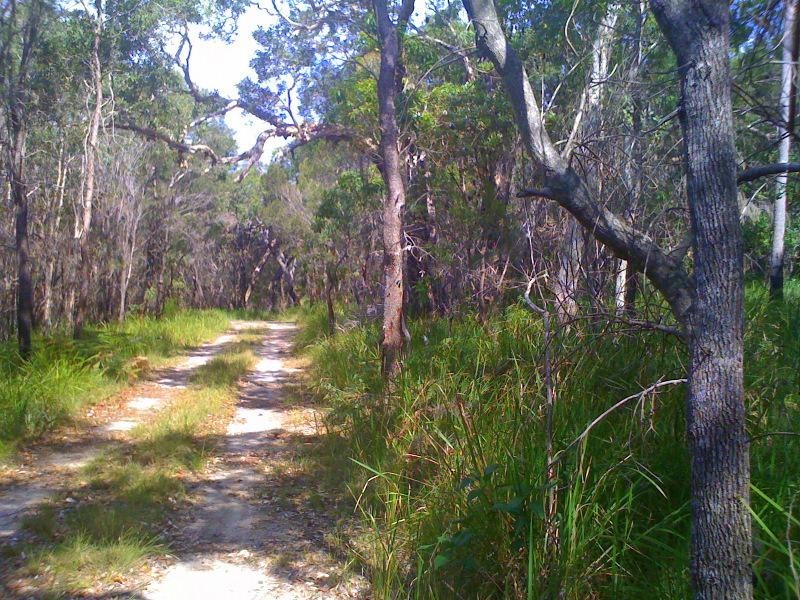 250 Hungry Head Rd, Urunga NSW 2455