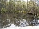 195 Schnappers Beach Rd, Urunga NSW 2455