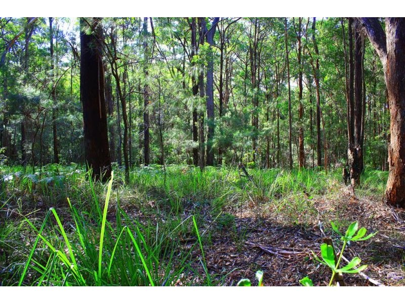 206 Schnapper Beach  Rd, Urunga NSW 2455