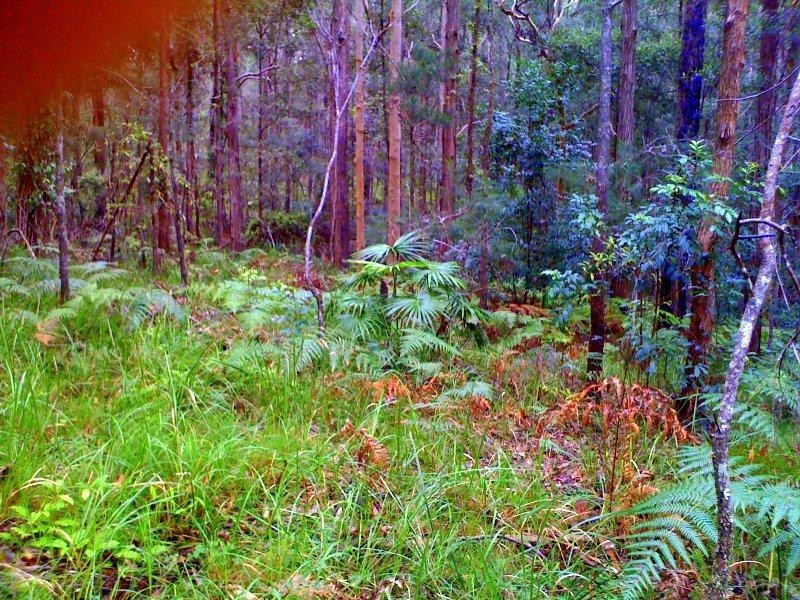 302 Schnapper Beach Rd, Urunga NSW 2455