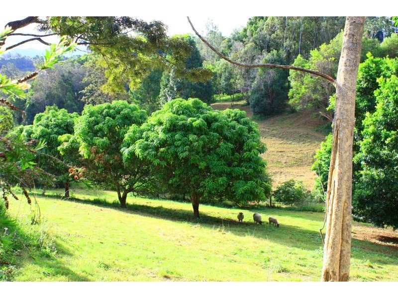 17 Hunter St, Repton NSW 2454