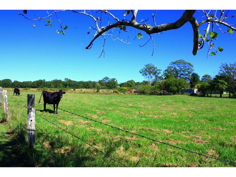 10 Walter St, Raleigh NSW 2454