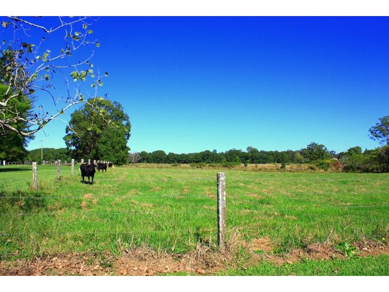 10 Walter St, Raleigh NSW 2454