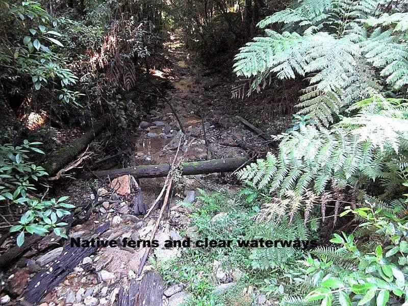 2613 Kalang Rd, Bellingen NSW 2454