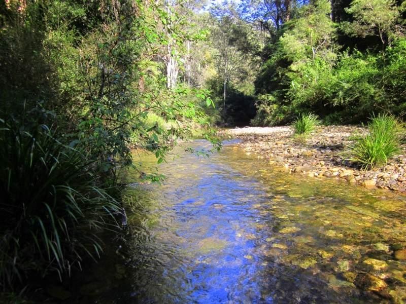 2613 Kalang Rd, Bellingen NSW 2454