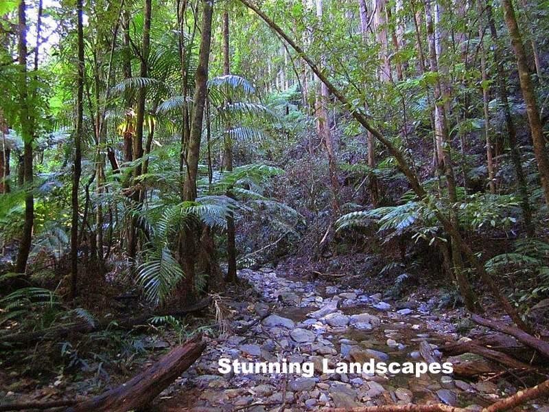 2613 Kalang Rd, Bellingen NSW 2454