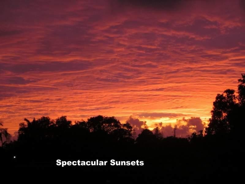 2613 Kalang Rd, Bellingen NSW 2454