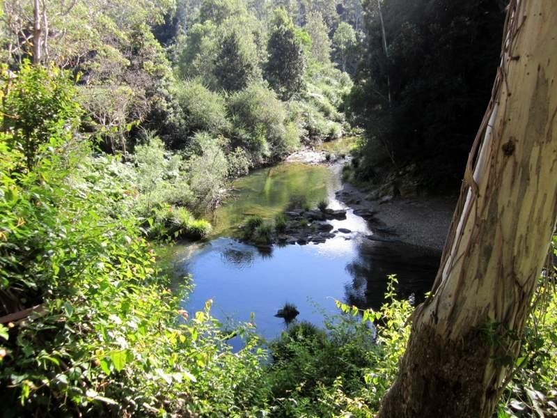 2613 Kalang Rd, Bellingen NSW 2454