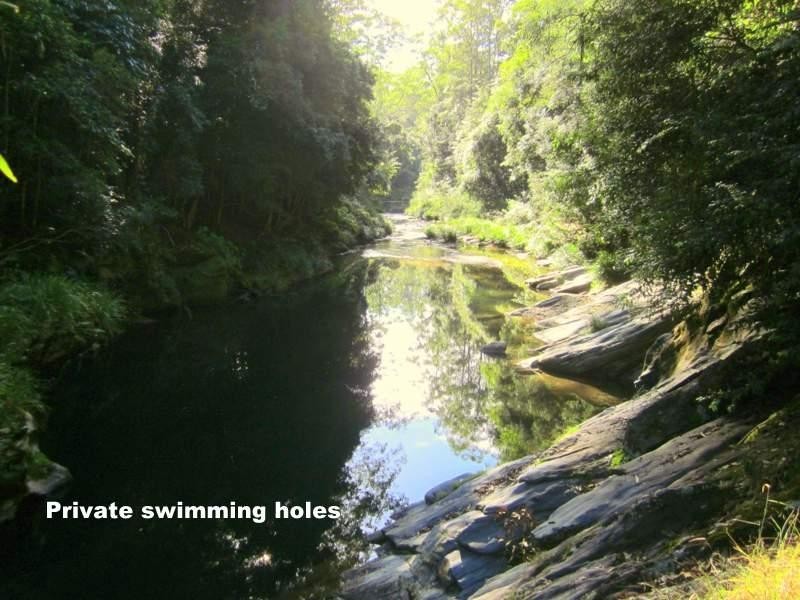 2613 Kalang Rd, Bellingen NSW 2454