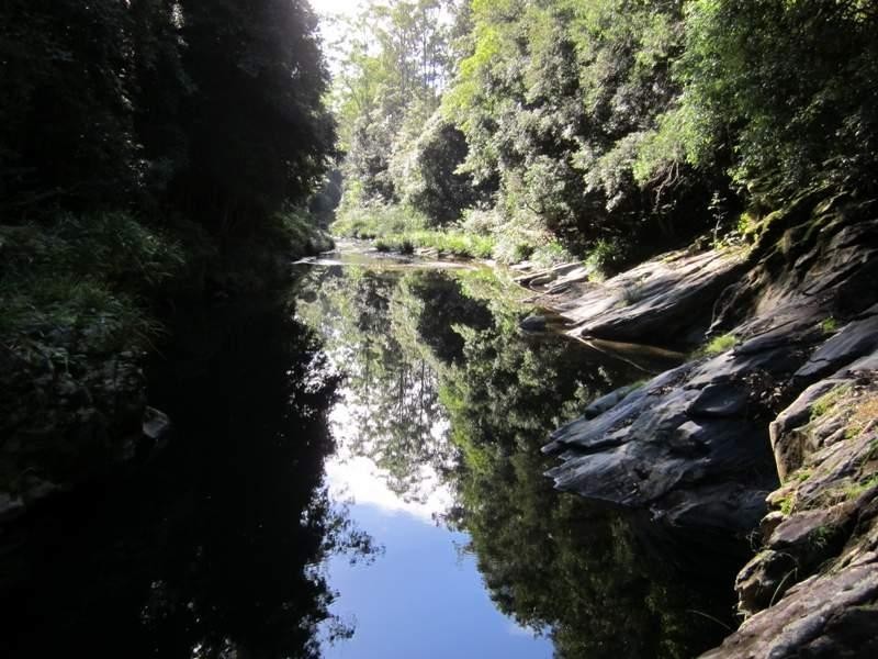 2613 Kalang Rd, Bellingen NSW 2454