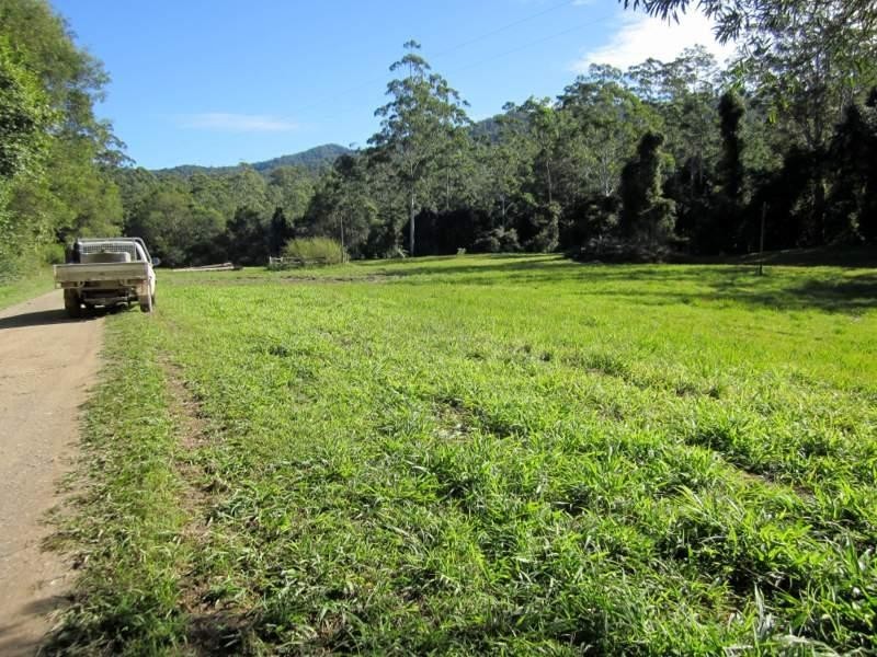 2613 Kalang Rd, Bellingen NSW 2454