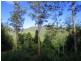 2613 Kalang Rd, Bellingen NSW 2454