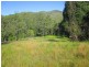 2613 Kalang Rd, Bellingen NSW 2454