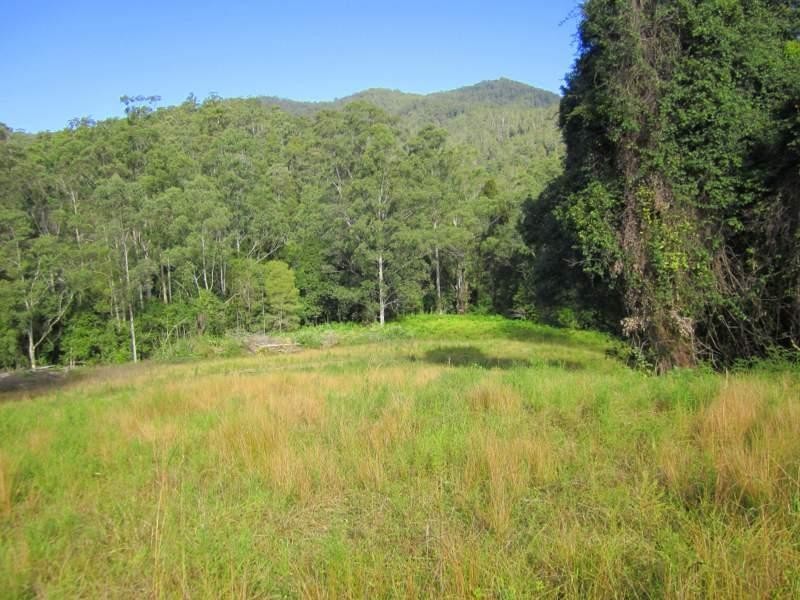 2613 Kalang Rd, Bellingen NSW 2454