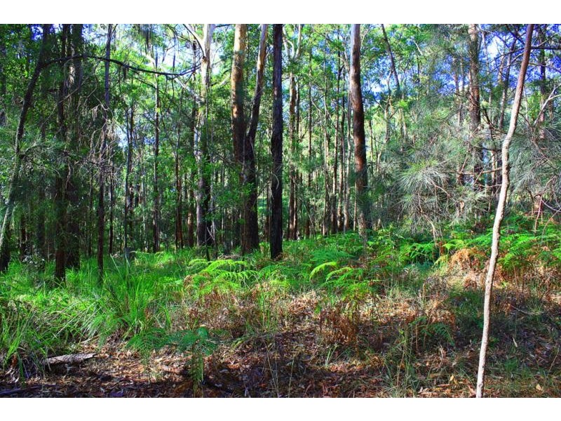 302 Schnapper Beach  Rd, Urunga NSW 2455
