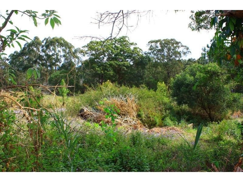 98 Old Pacific Hwy, Raleigh NSW 2454