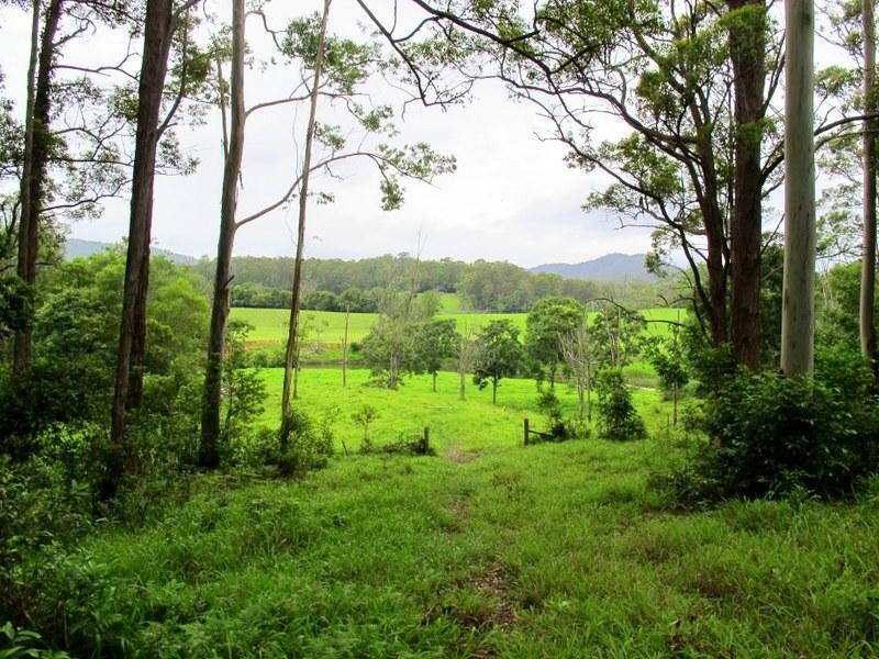 1265 South Arm  Rd, Urunga NSW 2455