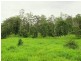 1265 South Arm  Rd, Urunga NSW 2455
