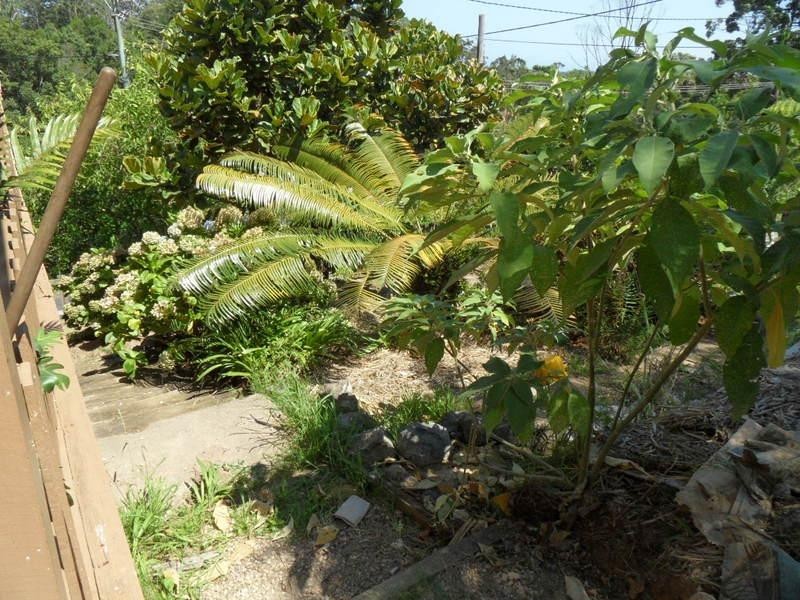 6 Hunter  St, Repton NSW 2454