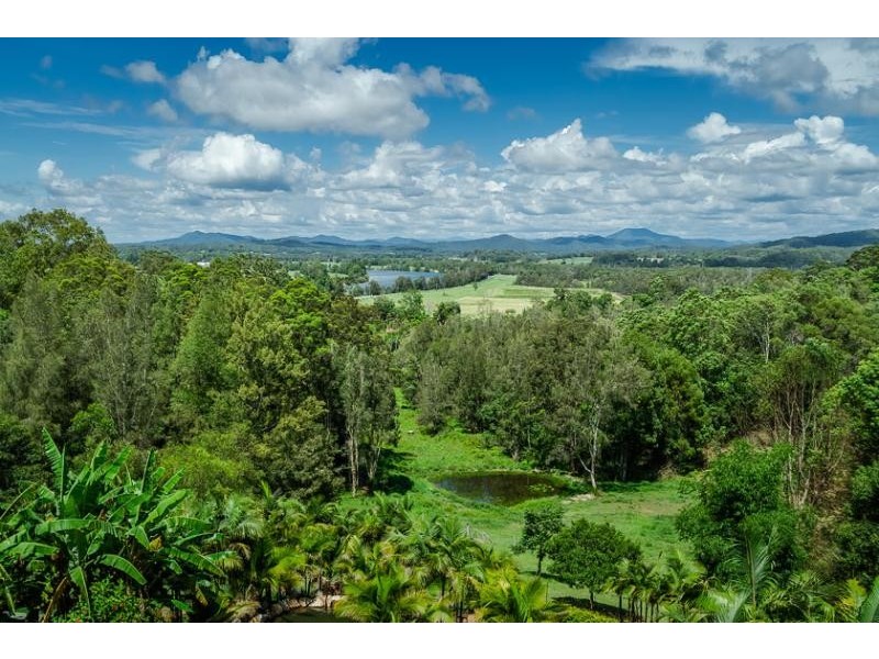 41 Perry’s Rd, Repton NSW 2454