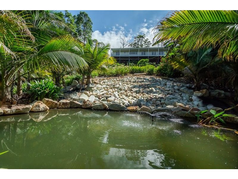 41 Perry’s Rd, Repton NSW 2454