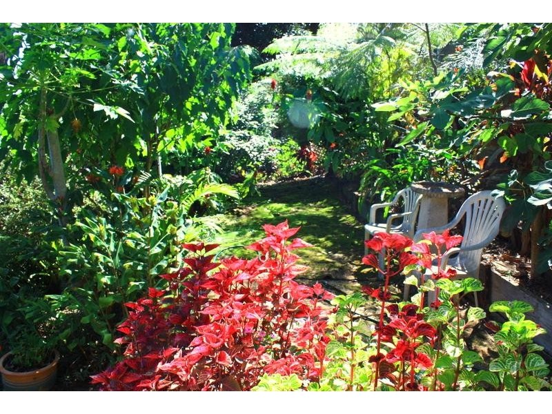 58 Old Pacific Hwy, Raleigh NSW 2454