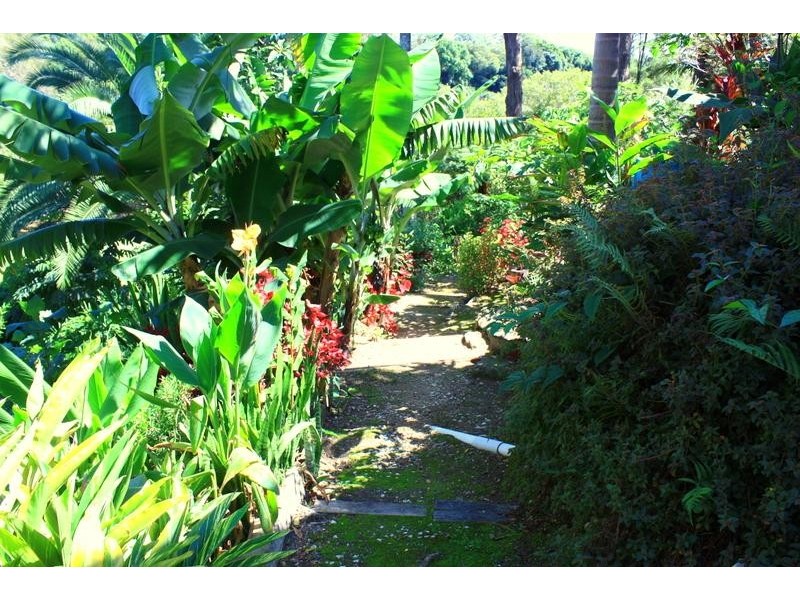 58 Old Pacific Hwy, Raleigh NSW 2454