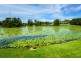 139 Newry Island Dr, Urunga NSW 2455
