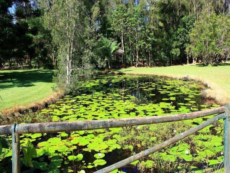 24 The Grove St, Urunga NSW 2455