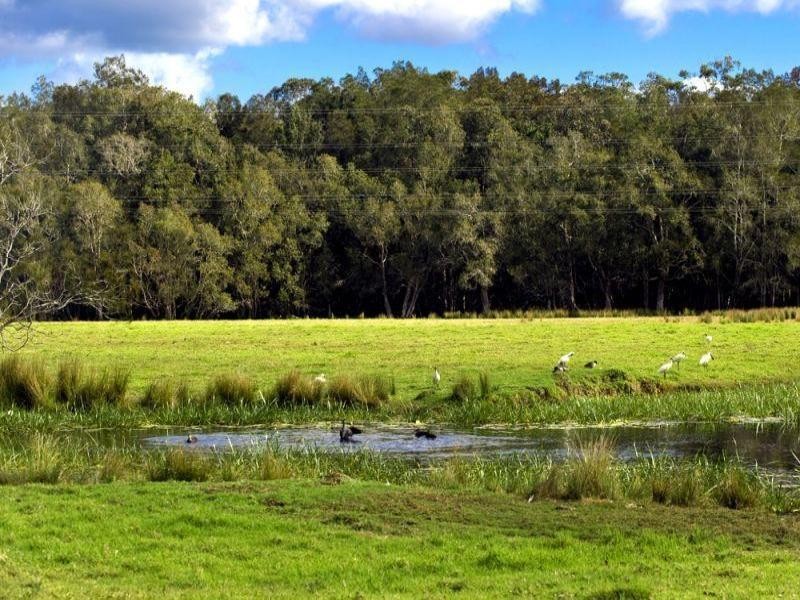 17 Short Cut Rd, Urunga NSW 2455