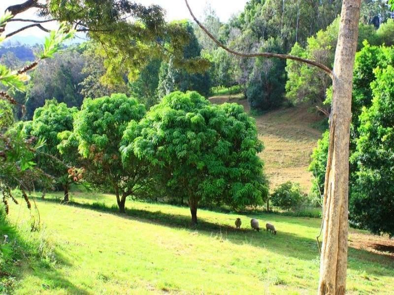 17 Hunter St, Repton NSW 2454