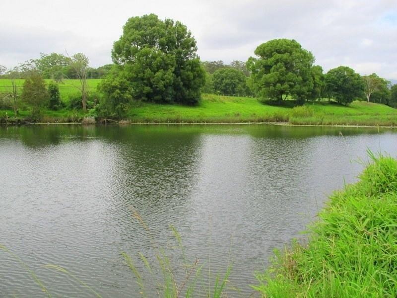 1265 South Arm Rd, Urunga NSW 2455