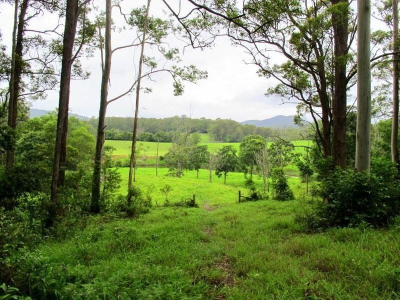 1265 South Arm Rd, Urunga NSW 2455