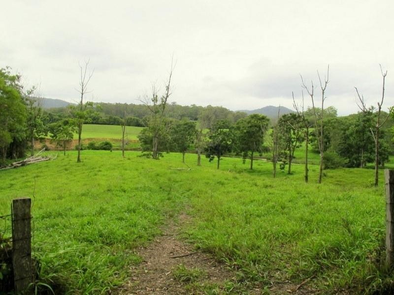 1265 South Arm Rd, Urunga NSW 2455